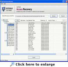 recover corrupted access database