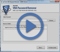 remove vba password